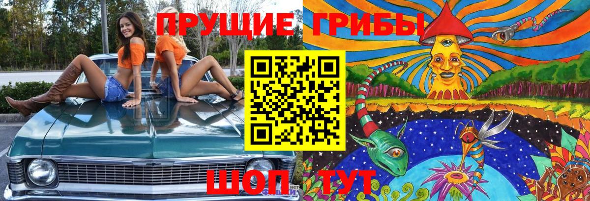 Мирный  Псилоцибиновые грибы Magic Shrooms  Вход с VPN 